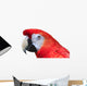 Scarlet Macaw White Wall Decal
