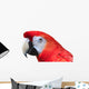 Scarlet Macaw White Wall Decal