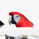 Scarlet Macaw White Wall Decal