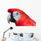 Scarlet Macaw White Wall Decal