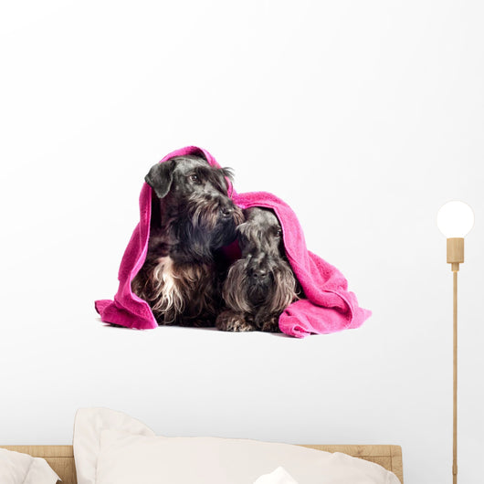 Two Adorable Dogs under