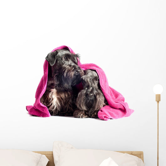 Two Adorable Dogs under