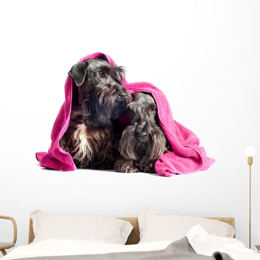 Two Adorable Dogs under