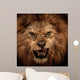 Close-Up Shot of Roaring Lion Wall Mural