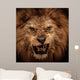Close-Up Shot of Roaring Lion Wall Mural