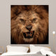 Close-Up Shot of Roaring Lion Wall Mural