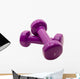 Two Dumbbell