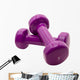 Two Dumbbell