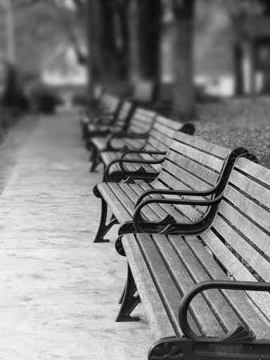 Paris Park Benches Wall Decal
