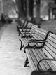 Paris Park Benches Wall Decal