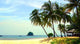 Palm Beach Coast Wall Decal