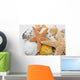 seestern und muscheln Wall Mural