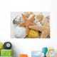 seestern und muscheln Wall Mural