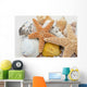 seestern und muscheln Wall Mural