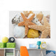seestern und muscheln Wall Mural
