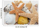seestern und muscheln Wall Mural