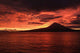 Sunrise Ii Wall Decal