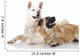Two Dogs - Zwei Hunde Wall Decal