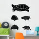 turtle Collection Set Wall Decal