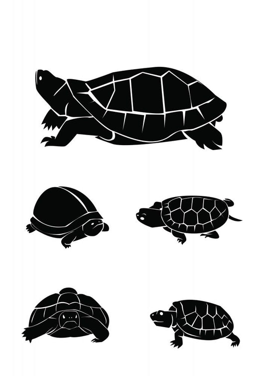 turtle Collection Set Wall Decal