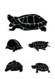 turtle Collection Set Wall Decal
