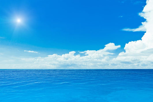 Sun and Ocean Wall Mural