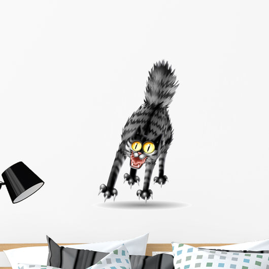 Cat Scared