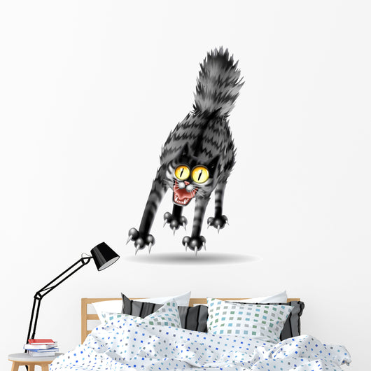 Cat Scared