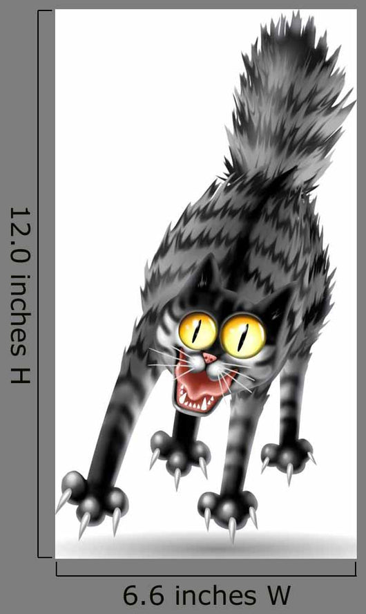 Cat Scared