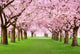 Gardens Full Bloom