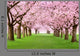 Gardens Full Bloom