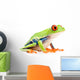red-eyed tree frog isolated on white Wall Decal