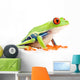 red-eyed tree frog isolated on white Wall Decal