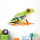 red-eyed tree frog isolated on white Wall Decal