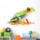 red-eyed tree frog isolated on white Wall Decal