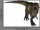 Tyrannosaurus