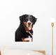 Smiling Dog Wall Decal