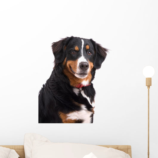 Smiling Dog Wall Decal