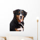 Smiling Dog Wall Decal