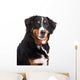 Smiling Dog Wall Decal