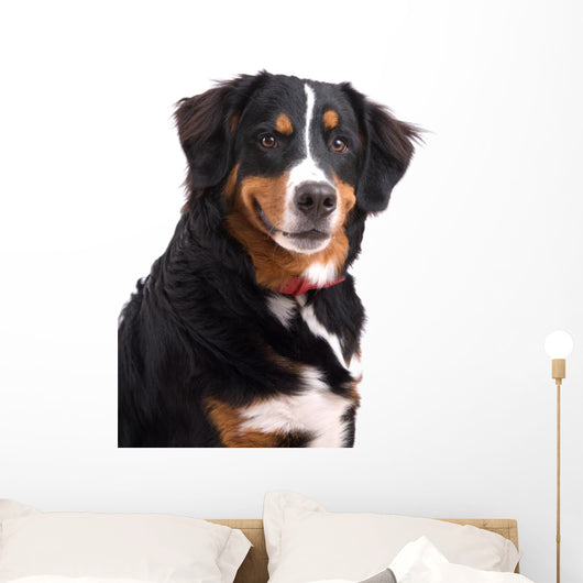 Smiling Dog Wall Decal