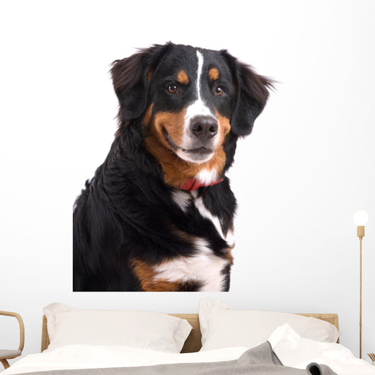 Smiling Dog Wall Decal