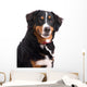 Smiling Dog Wall Decal