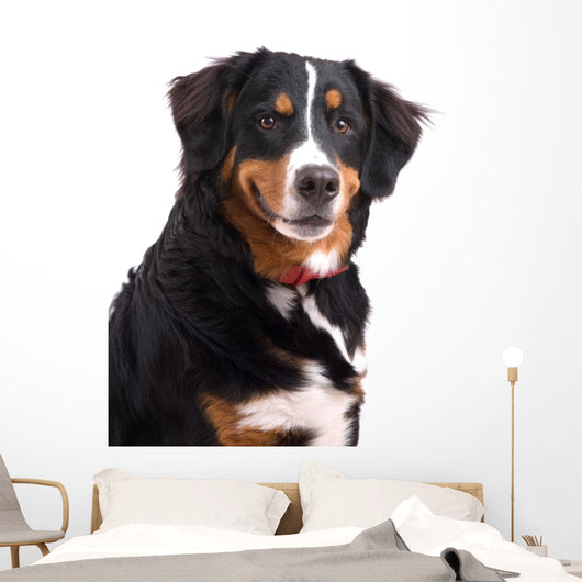 Smiling Dog Wall Decal