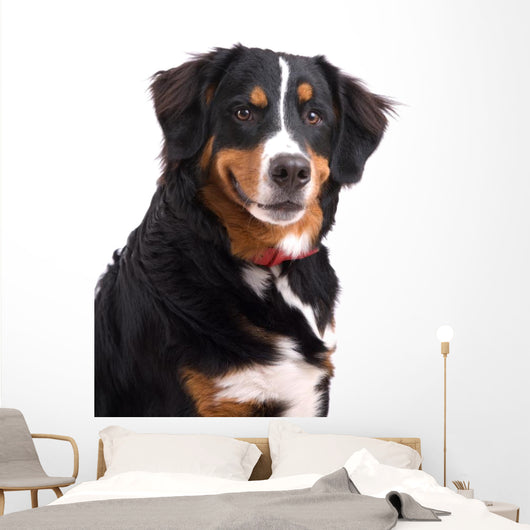 Smiling Dog Wall Decal