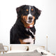 Smiling Dog Wall Decal