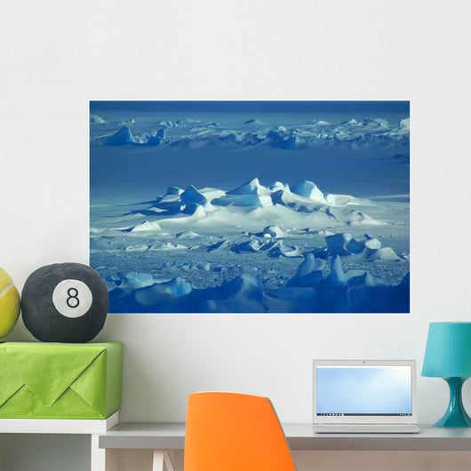 Antarctic Snowfield Wall Decal