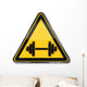 Shield 757 Wall Mural