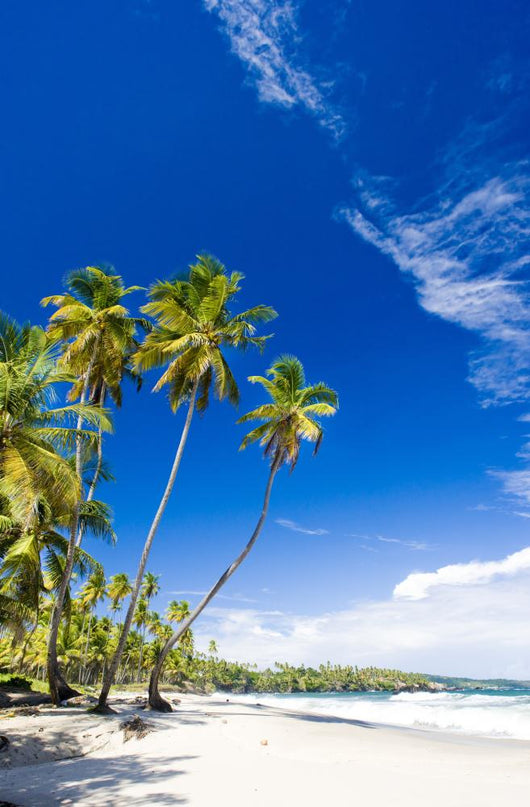 Cumana Bay Trinidad