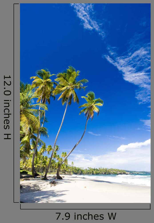 Cumana Bay Trinidad